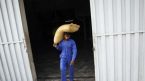 Ấn Độ áp dụng những biện pháp hạn chế nào với xuất khẩu gạo?