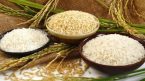 Giá lúa gạo hôm nay 5/4: Tăng mạnh 1.000 đồng/kg