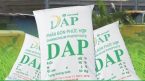 DAP Vinachem (DDV) lãi vỏn vẹn 144 triệu đồng quý 1, giảm sút 99% so với cùng kỳ