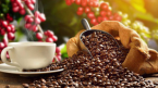 Giá cà phê tăng lên mức cao nhất 4 tháng – Xuất khẩu vẫn giảm mạnh trong tháng dầu năm 2023