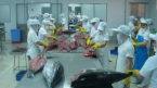 Xuất khẩu cá ngừ đóng hộp sang Hàn Quốc tăng khủng gần 500%
