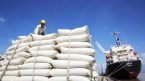 Trung Quốc, Philippines ồ ạt mua gạo Việt Nam