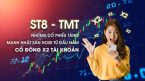 ST8 – TMT, những cổ phiếu tăng mạnh nhất sàn HOSE từ đầu năm, cổ đông X2 tài khoản