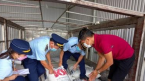 Đề nghị điều tra doanh nghiệp Indonesia nghi ‘rửa nguồn’ mía đường ở Việt Nam