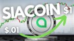 SC Coin là gì? Thông tin về mạng lưới Siacoin 2022