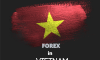 Tại Việt Nam, đầu tư Forex có phạm pháp không?