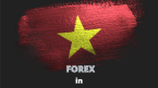 Tại Việt Nam, đầu tư Forex có phạm pháp không?