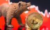 4 cách tích lũy BTC trong thị trường gấu Bitcoin