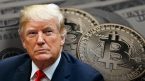 Việc tái đắc cử của Donald Trump có thể đẩy giá BTC lên 90.000 đô la